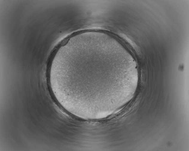 X0000116451452201001191543