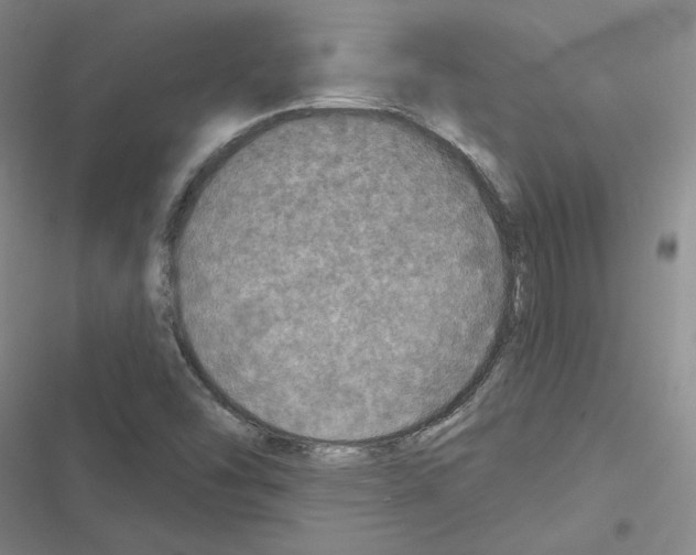 X0000116451454201001191543