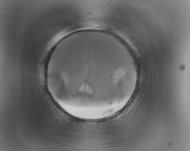 X0000116451455201001191543