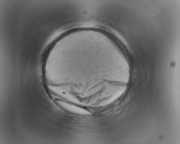 X0000116451456201001191543
