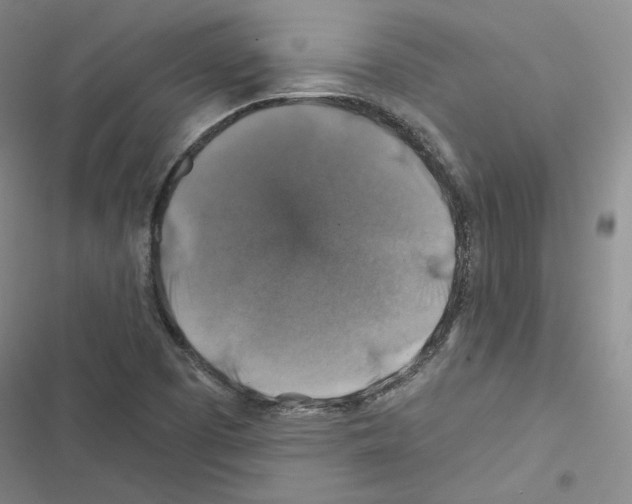 X0000116451457201001191543