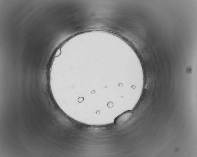 X0000116451458201001191542