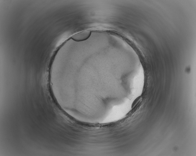 X0000116451459201001191542