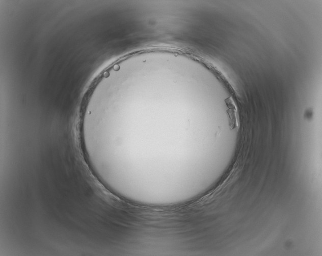 X0000116451460201001191542