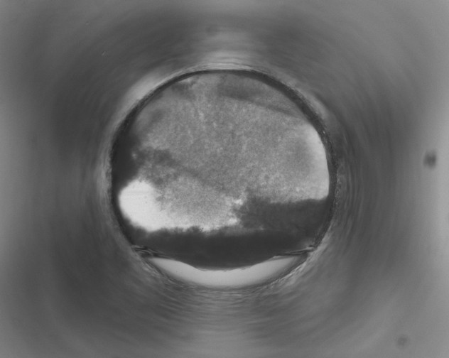 X0000116451461201001191542