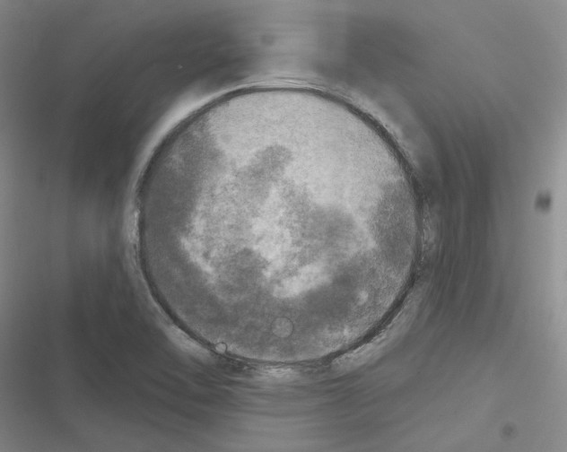 X0000116451462201001191542