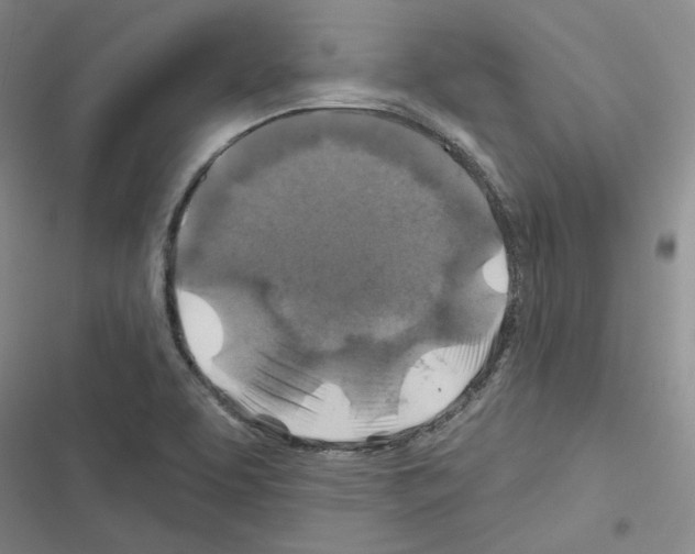 X0000116451463201001191542