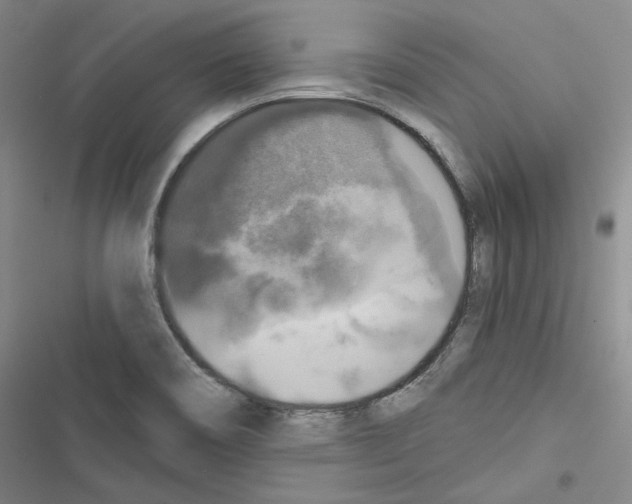 X0000116451466201001191542