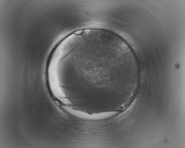 X0000116451469201001191542