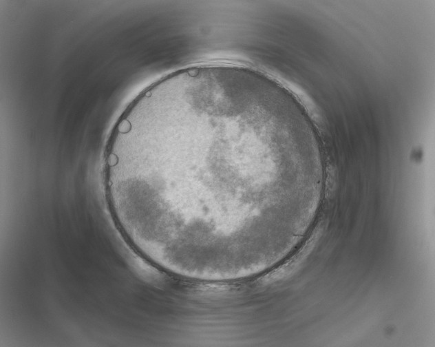 X0000116451470201001191542