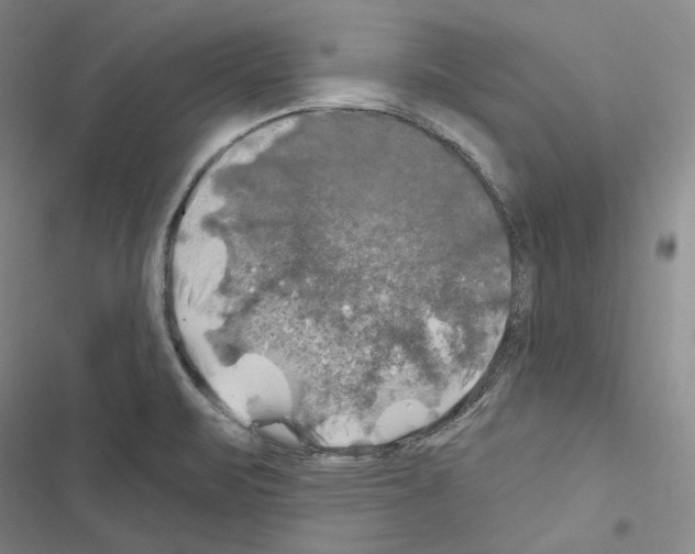 X0000116451471201001191542