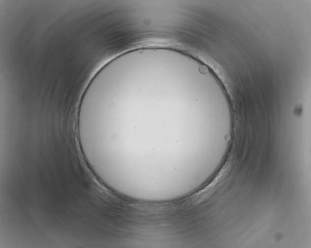 X0000116451473201001191542