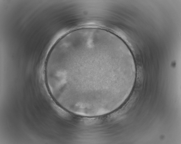 X0000116451474201001191542