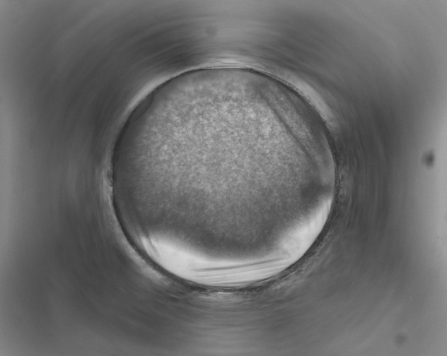 X0000116451476201001191542