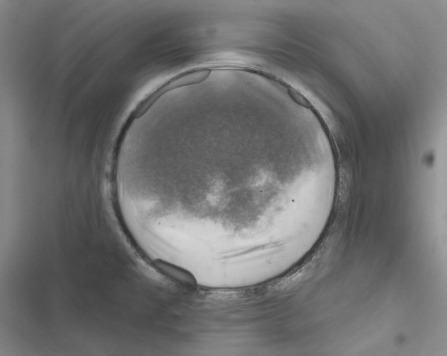 X0000116451477201001191542