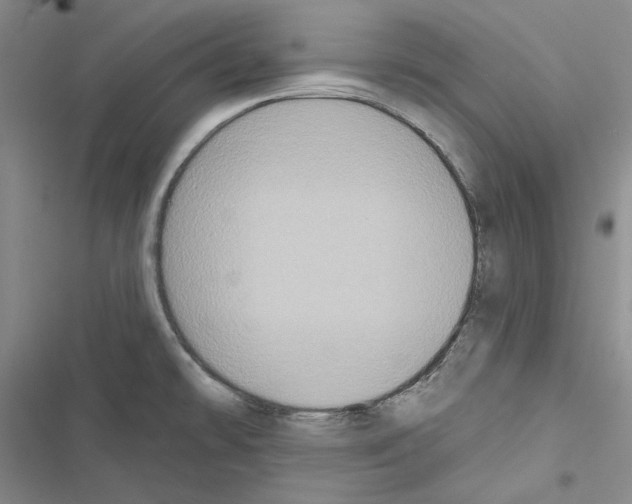 X0000116451478201001191542