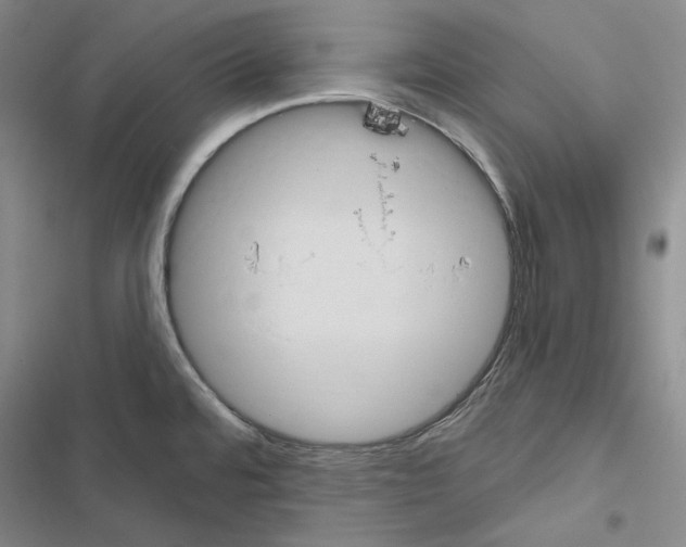 X0000116451480201001191542