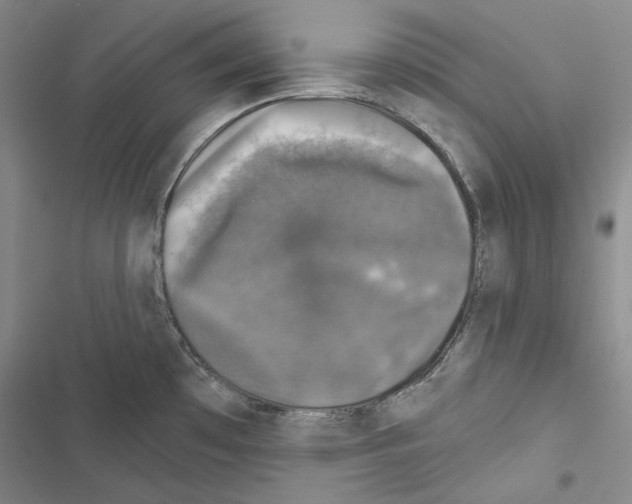 X0000116451481201001191542