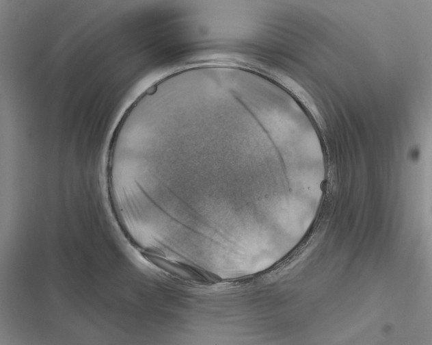 X0000116451482201001191542