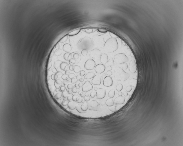 X0000116451483201001191542