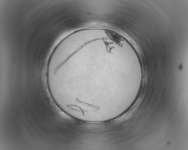 X0000116451486201001191542