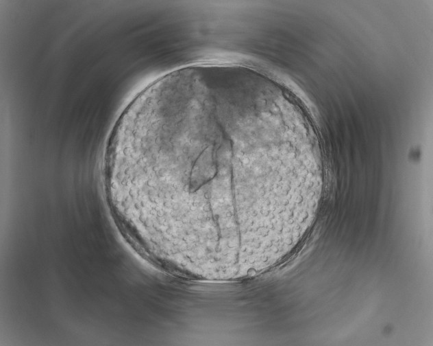 X0000116451487201001191542