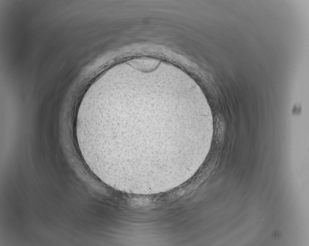 X0000116451489201001191541