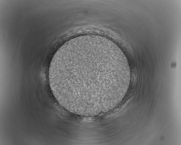 X0000116451490201001191541