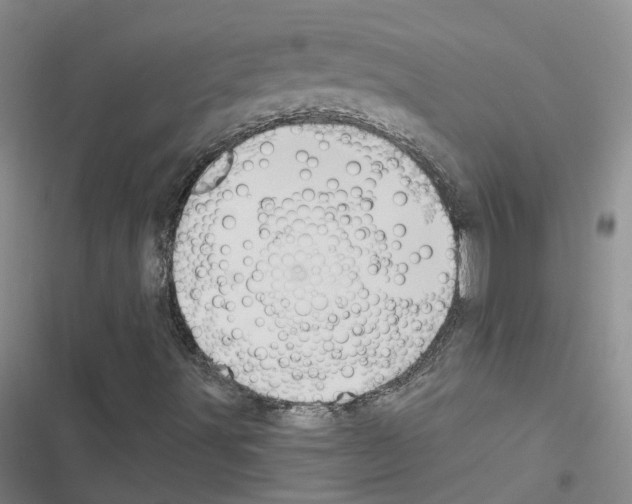 X0000116451491201001191541