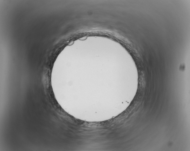 X0000116451493201001191541