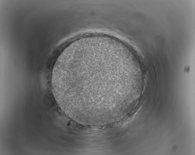 X0000116451494201001191542