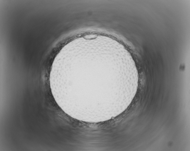X0000116451495201001191542