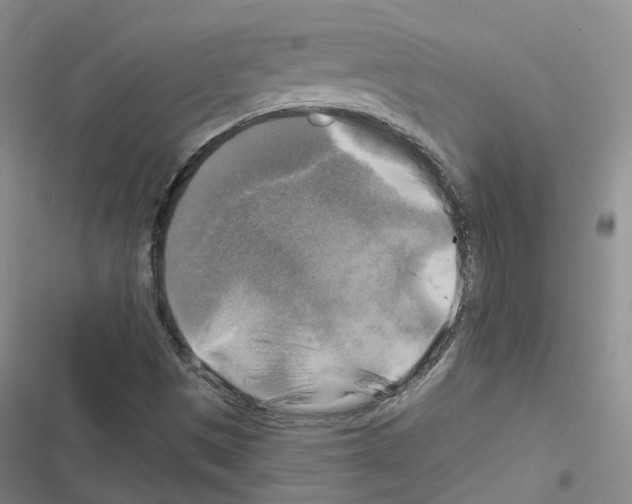 X0000116451497201001191542