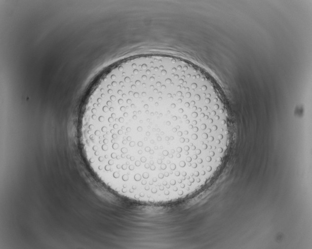 X0000116451499201001191542