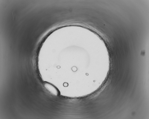 X0000116451502201001191542