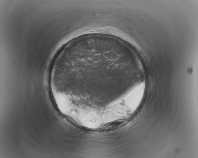 X0000116451506201001191542