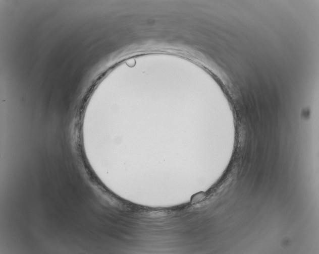 X0000116451507201001191542