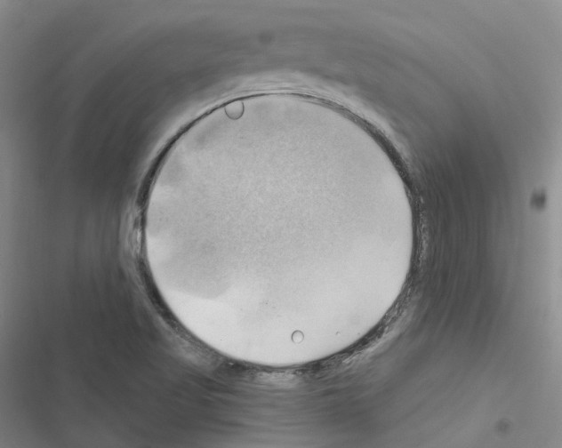 X0000116451509201001191542