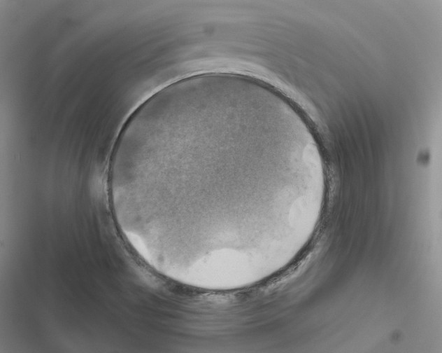 X0000116451513201001191542