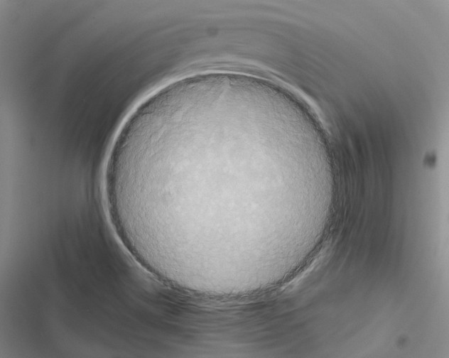 X0000116451514201001191542
