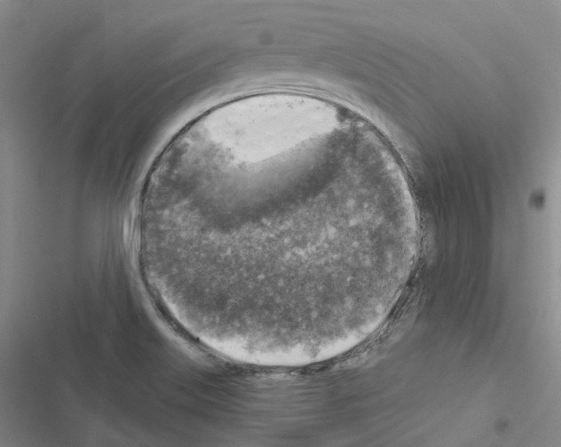 X0000116451515201001191542