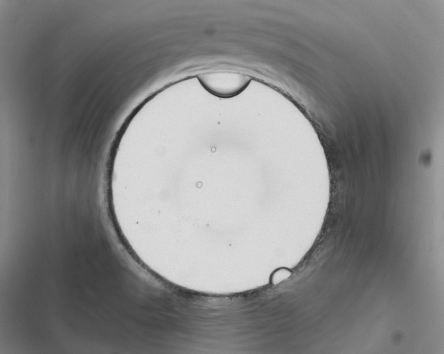 X0000116451518201001191542
