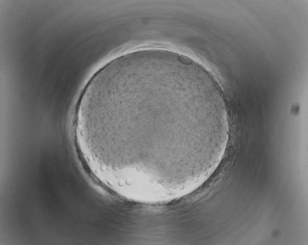 X0000116451519201001191542