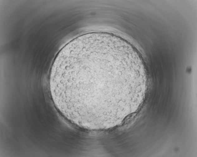 X0000116451521201001191542