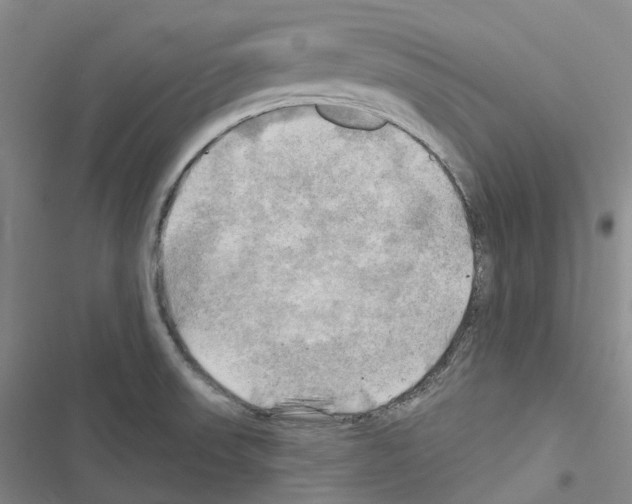 X0000116451523201001191542