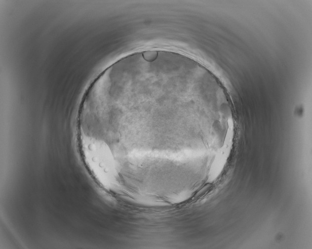 X0000116451525201001191542