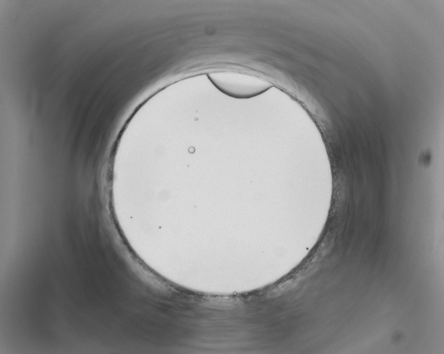 X0000116451526201001191542