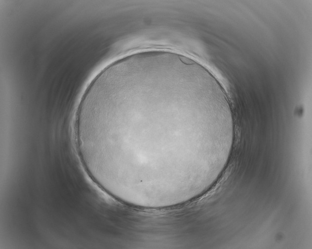X0000116451527201001191542