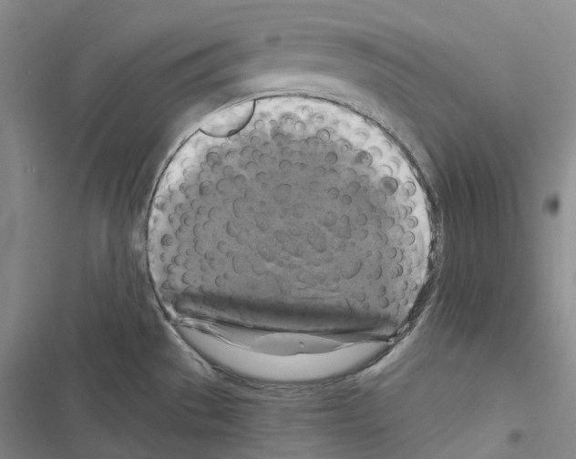 X0000116451529201001191542