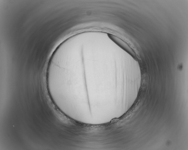 X0000116451530201001191542